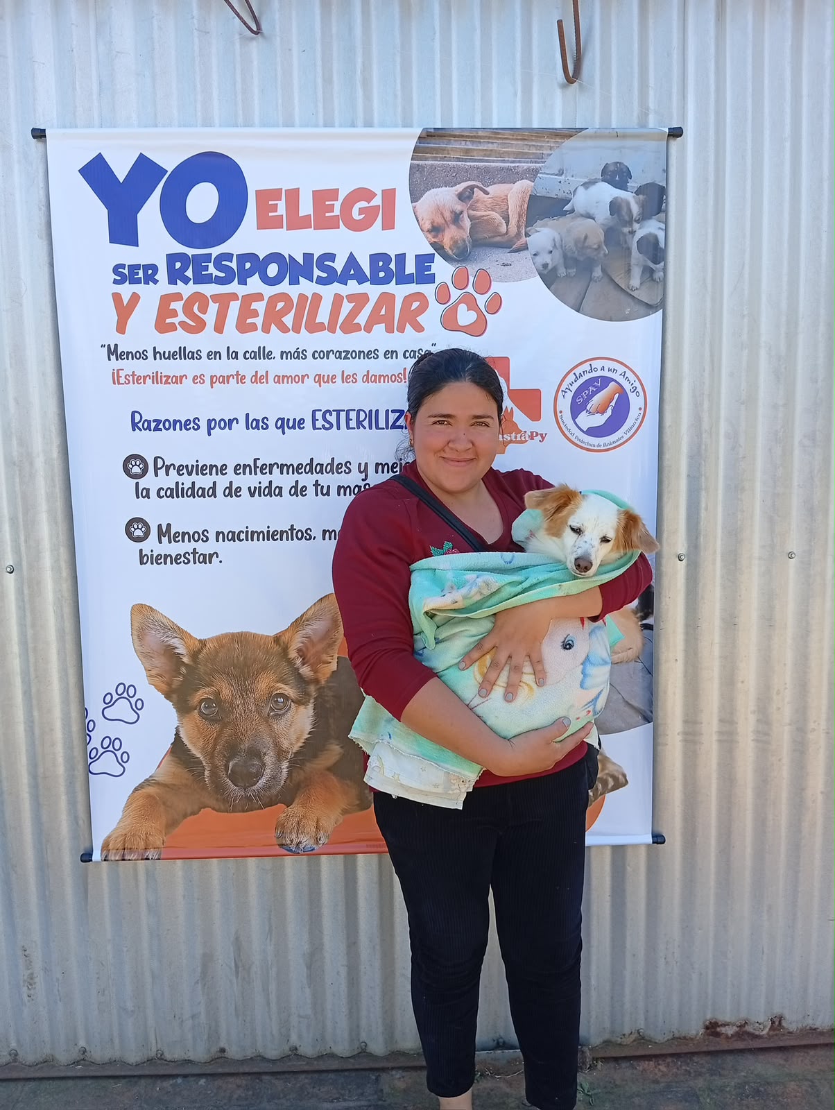 Asistencias, campañas y denuncias